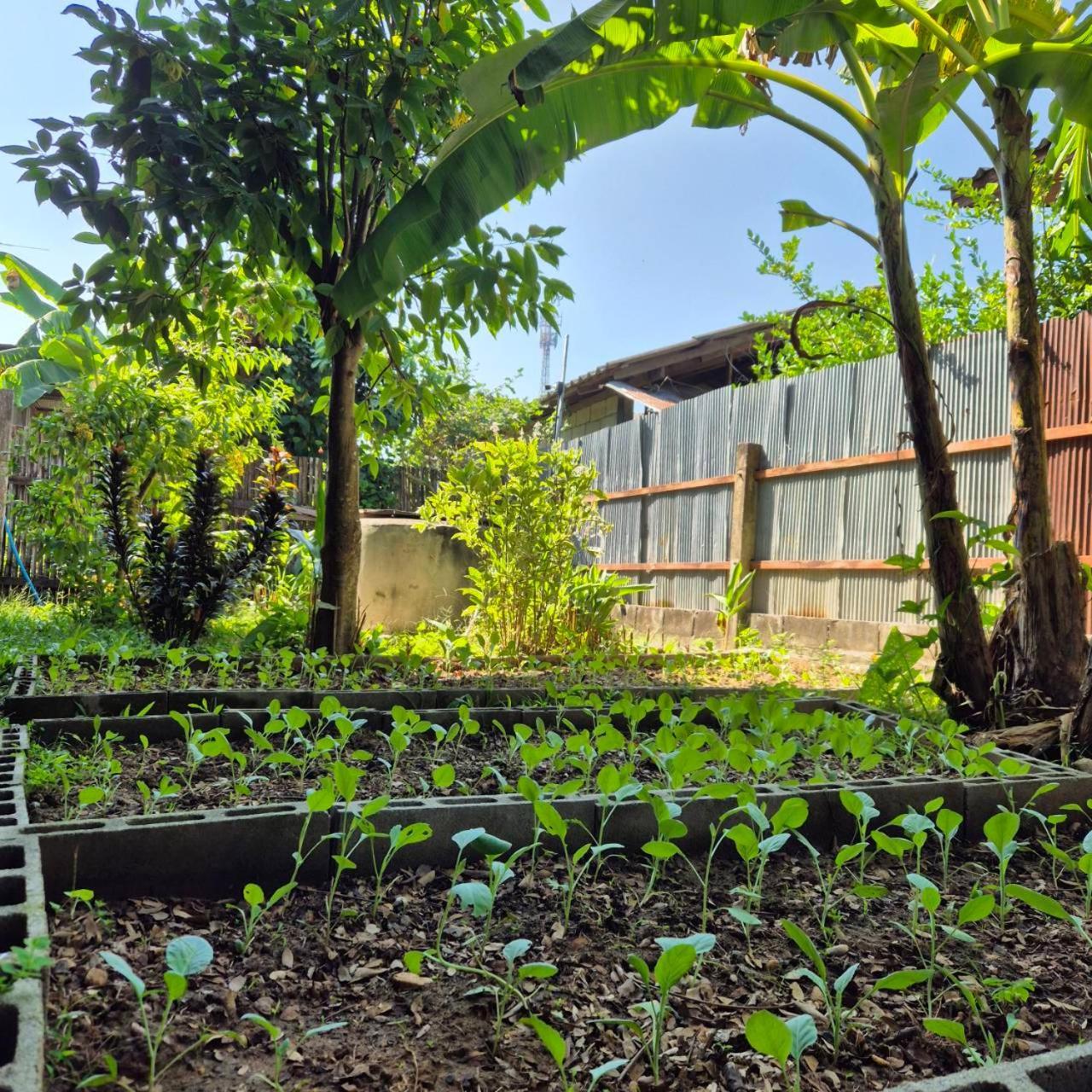 Kedthawa Homestay เฮือนเก็ดถะหวา Ban Cho Lae Exterior foto