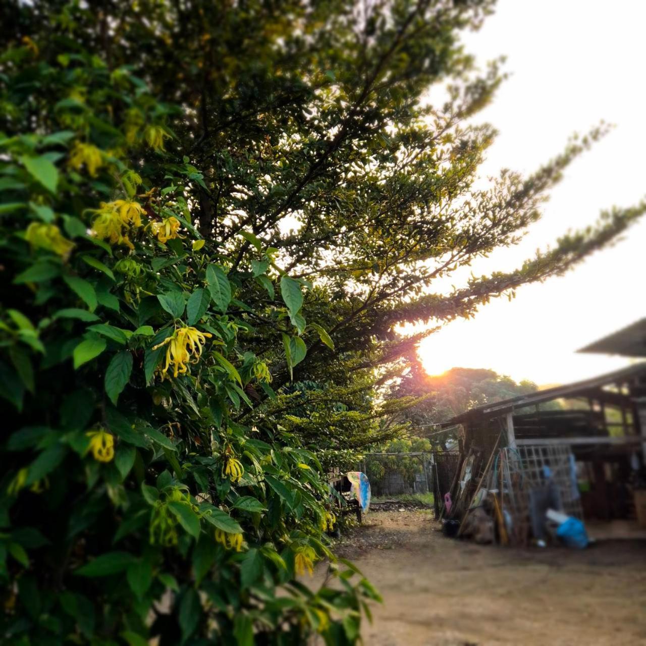 Kedthawa Homestay เฮือนเก็ดถะหวา Ban Cho Lae Exterior foto